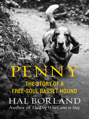 cover image of Penny